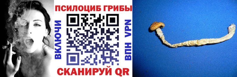 omg ONION  Подольск  Псилоцибиновые грибы MAGIC MUSHROOMS 